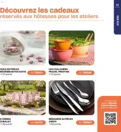 Catalogue Stanhome page 43: AMEFA MÉNAGÈRE 24 PIÈCES €5,00, PRADEL PRESTIGE LES 3 SALADIER €35,00