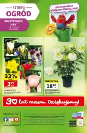 Auchan gazetka tydzień 36 Strona 49