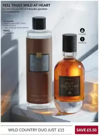 Avon catalogue Page 120