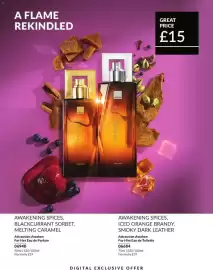 Avon catalogue Page 214