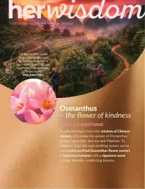 Avon catalogue Page 8