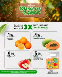 Catálogo Supermercado Precito Página 2