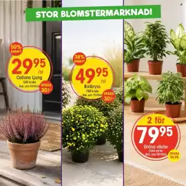 EKO reklamblad vecka 36 Sida 1
