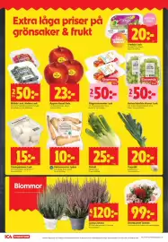 ICA Supermarket reklamblad vecka 36 Sida 6: Ljung Calluna €120,00, Palsternackor i påse €10,00