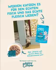Fressnapf Flugblatt Seite 31