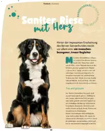 Fressnapf Flugblatt Seite 34