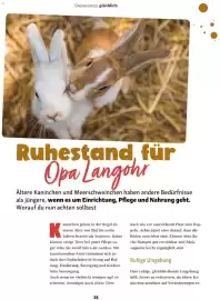 Fressnapf Flugblatt Seite 38