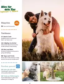 Fressnapf Flugblatt Seite 4