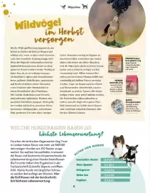 Fressnapf Flugblatt Seite 6