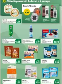 Volantino Prodet Pagina 7: LeChat Cibo per gatti €5,99, Miglior Cane Cibo per cani Bocconcini €1,49