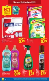 Folheto Lidl | Especial DTP Página 16: Damax Lava Tudo Premium €0,99, W5 Bloco Sanitário €0,99