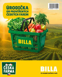 Billa leták Strana 116
