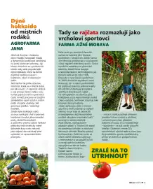 Billa leták Strana 11