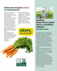 Billa leták Strana 13