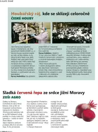 Billa leták Strana 14