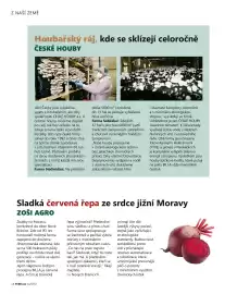 Billa leták Strana 14