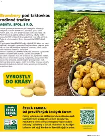 Billa leták Strana 15