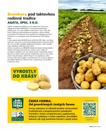 Billa leták Strana 15