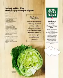Billa leták Strana 21