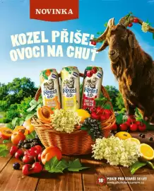 Billa leták Strana 29