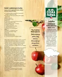 Billa leták Strana 31