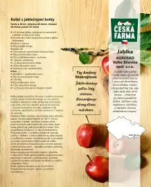 Billa leták Strana 31