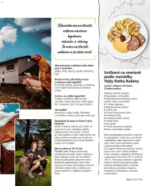 Billa leták Strana 41