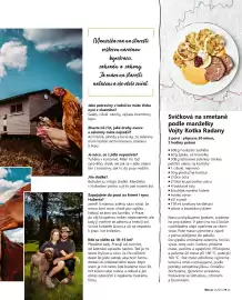 Billa leták Strana 41