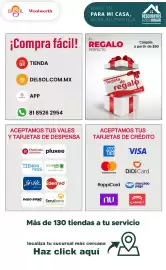 Folleto DelSol Página 30