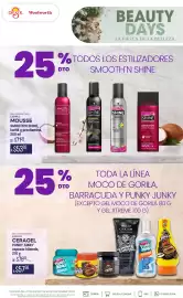 Folleto DelSol Página 2