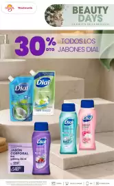 Folleto DelSol Página 3