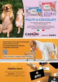 Volantino Giulius Pagina 11
