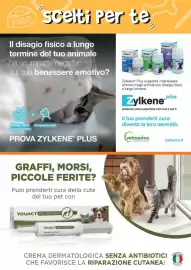 Volantino Giulius Pagina 3