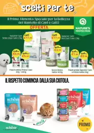 Volantino Giulius Pagina 7