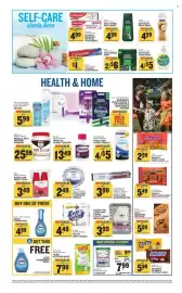 Food Lion weekly ad week 36 Page 8: Handi-foil cook and carry utility pans with lids €3,99, Scott bath tissue €4,49