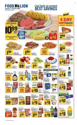 Food Lion (valid until 8-09)