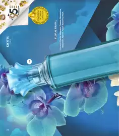 Catálogo Stanhome Página 26