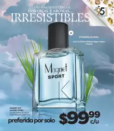 Catálogo Stanhome Página 29