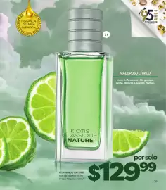 Catálogo Stanhome Página 31