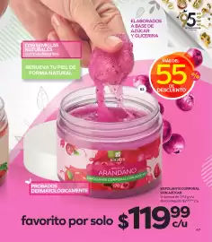 Catálogo Stanhome Página 49