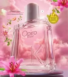 Catálogo Stanhome Página 6