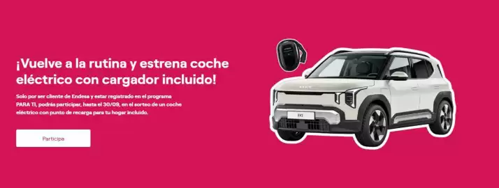 Folleto ENDESA Página 1