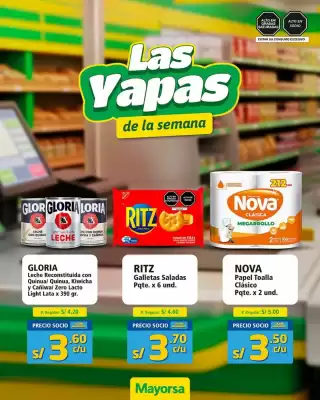 Catálogo Mayorsa (válido hasta 9-09)