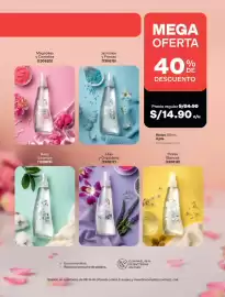 Catálogo Avon Página 243