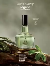 Catálogo Avon Página 60
