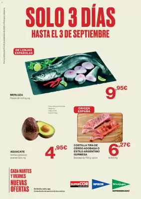 Hipercor (válido hasta el 3-09)