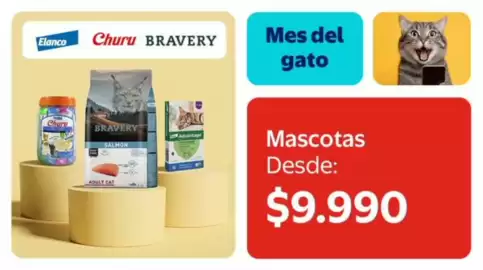 Catálogo Lider Página 4: Cat - mascotas €9.990,00