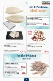 Folleto Abordo Página 9: Perfecto - tubo de pota limpio calidad superior €7,49, Puntillas calamar €3,99
