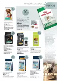 Catálogo El Corte Inglés Página 3: Advance pienso para perros adultos grandes pollo y arroz €62,99, Purina pro plan €68,99