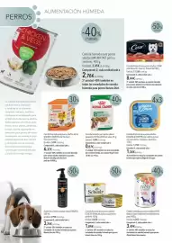 Catálogo El Corte Inglés Página 4: Schesir filetes de pollo con jamón en gelatina €1,84, Royal canin mini ageing €0,87
